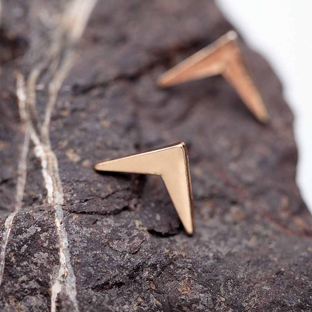 "Starship Voyager" [FREE w/ BUNDLE]